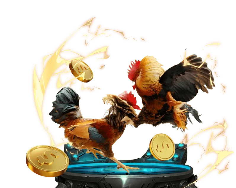 Hình ảnh minh họa quyền của người dùng về dữ liệu cá nhân tại casino corona phú quốc